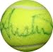 Tracy Austin autographed Tennis Ball