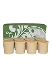 Warm Vanilla by Oasis for Unisex 8 Pc Pure Soy Votive 31oq8dTThjL. SL160 Warm Vanilla by Oasis for Unisex 8 Pc Pure Soy Votive