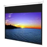 Optoma DS-GWII9106P 106-Inch Manual Pull Down Projector Screen