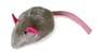 Our Pets Play-N-Squeak, Mouse