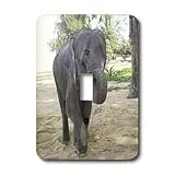 Angelique Cajams Safari Elephants - Thailand Elephant - Light Switch Covers - single toggle switch
