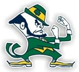 Notre Dame Fighting Irish 12 Car Magnet