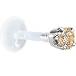 16 Gauge 5/16" Solid 14KT White Gold 3mm Champagne Cubic Zirconia Bioplast Tragus Earring Stud