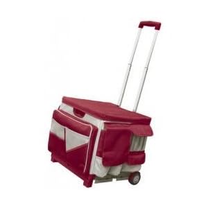Rolling Organizer and Saddle Bag by 