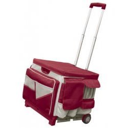 Cart with Canvas Organizer (Brick/Light Grey) (16"H x 15"W x 16.5"L)