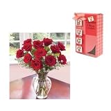 Mother's Day Flowers and Treats - One Dozen Premium Red Roses with Mother's Day Cookies