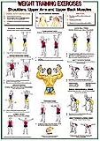 Shoulders-Upper Arm/Back Muscles Chart