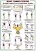 Shoulders-Upper Arm/Back Muscles Chart