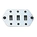 Allparts AP-0656-010 Chrome Switch Plate for Jaguar