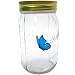 Butterfly In A Jar, Blue Morpho