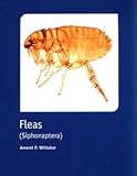 Fleas : Siphonaptera