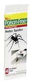 Woodstream Hobo Spider Trap