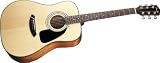 Fender CD-100 Design Acoustic Guitar, Natural