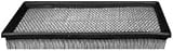 Hastings Filters AF899 Air Filter