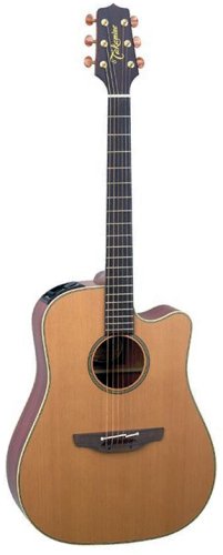 Childrens Toyshop  Musical Instruments : Takamine EAN10C Dreadnought Acoustic-Electric Cutaway Guitar, Natural