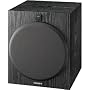 Sony SA-W2500 Performance Line 100 Watt Subwoofer