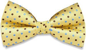Swagger & Swoon Gold Blue Brown Dots Bow Tie