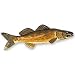 Miniature Walleye