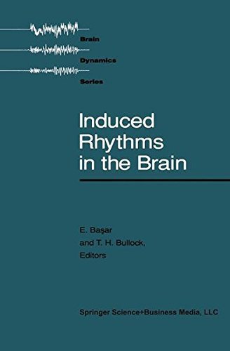 Induced Rhythms in the Brain (Brain Dynamics)