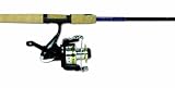 Eagle Claw Gold Eagle Spinning Combo Series, 5'6