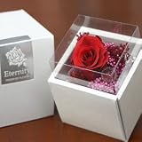 �y���������z�y��̓��M�t�g�z���v���U�[�u�h�t�����[ �G�^�j�e�B�[�W���G���P�[�XS ���b�h �y5/5~5/10�̊Ԃɂ��͂��z