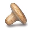 Pressure Positive The Original Wooden Knobble