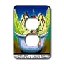 Londons Times Funny Society Cartoons - Saraha Dessert - Light Switch Covers - 2 plug outlet cover