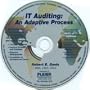 IT Auditing: An Adaptive Process
