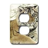 Tigers - Shikara Siberian Tiger - Light Switch Covers - 2 plug outlet cover