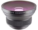 Raynox HD-3032 Pro, 0.3x High Definition Semi Fisheye Conversion Lens for 37mm Filter Thread, with 5 Adapters Rings