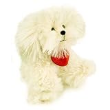 Review Flowers Direct  / Be Mine Dreyfus dog - Send Gift of Love