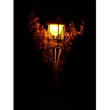 Fortune TIKI-60 Bamboo Tiki LED Light, 60-1/2" Height