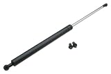 OES Genuine Hood Strut