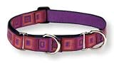 Lupine Large Martingale Style Dog Collar - Ruby Cube 19-27