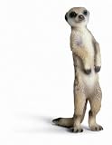 Standing Meerkat Toy, 1.06