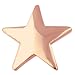 Copper Star Lapel Pin