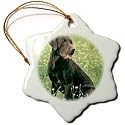 Dogs Labrador Retriever - Chocolate Labrador Retriever - Ornaments
