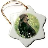 Dogs Labrador Retriever - Chocolate Labrador Retriever - Ornaments