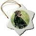 Dogs Labrador Retriever - Chocolate Labrador Retriever - Ornaments
