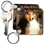 Dogs Sable Border Collies - Sable Border Collie - Key Chains