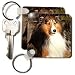 Dogs Sable Border Collies - Sable Border Collie - Key Chains