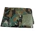 Texsport Reinforced Rip-Stop Polyethylene Tarp (Camouflage, 10 x 12-Feet)