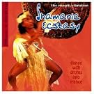 Shamanic Ecstasy