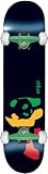 Enjoi Rasta Panda Complete Skateboard, 7.8-Inch