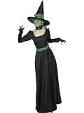 Wicked Witch Costume