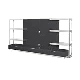 Tanaka Entertainment Unit by Nuevo