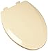 Bemis 1500EC068 Molded Wood Elongated Toilet Seat With Easy Clean and Change Hinge Fawn Beige