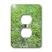 Florene Animals - Gray Squirrel Looking Around Grassy Field - Light Switch Covers - 2 plug outlet cover