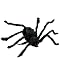 Hairy Spider Black