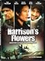 Fleurs Pour Harrison: Harrison's Flowers